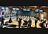 Tournoi Doublette handicap Meschers janvier 2025 - img1